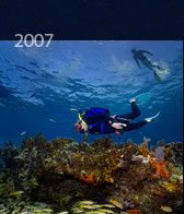 2007 Molassas reef small test, unlimited depth of field. 